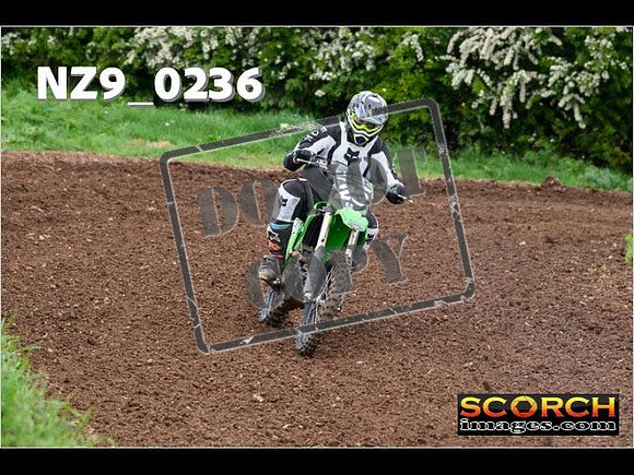 IntersGreen-186
