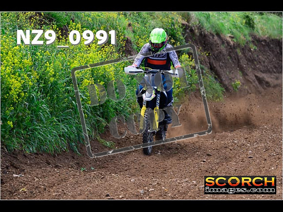 IntersGreen-056
