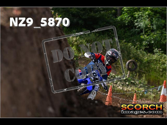 Experts-119