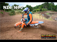 Experts-008