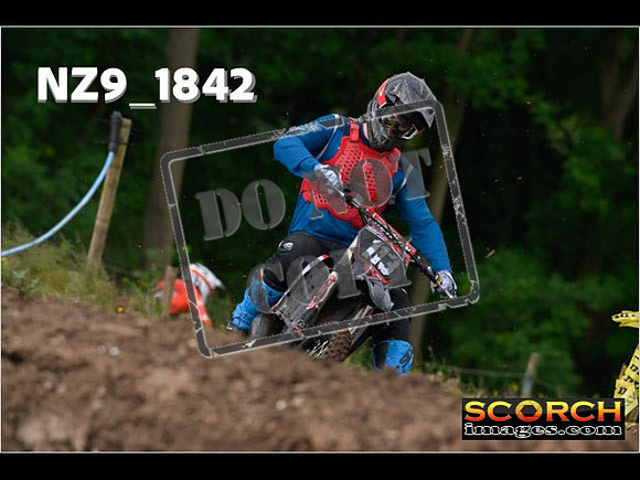 Experts-062