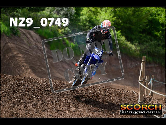 IntersGreen-281