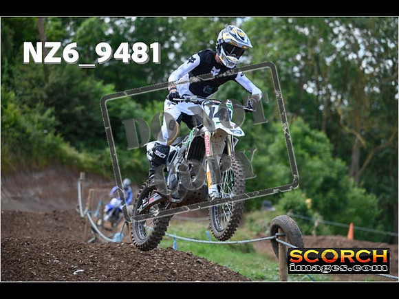 Experts-245