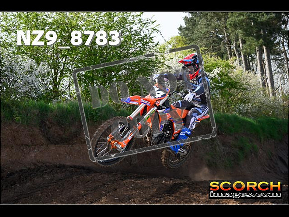 Experts-028