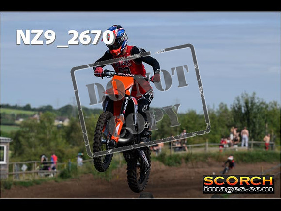 IntersGreenOrange-070