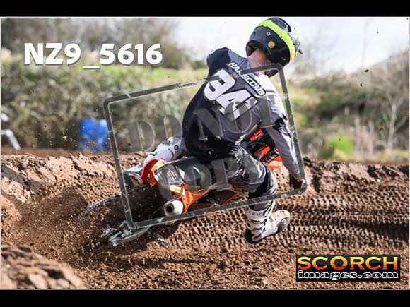 Experts-124