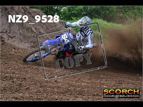 Experts-050