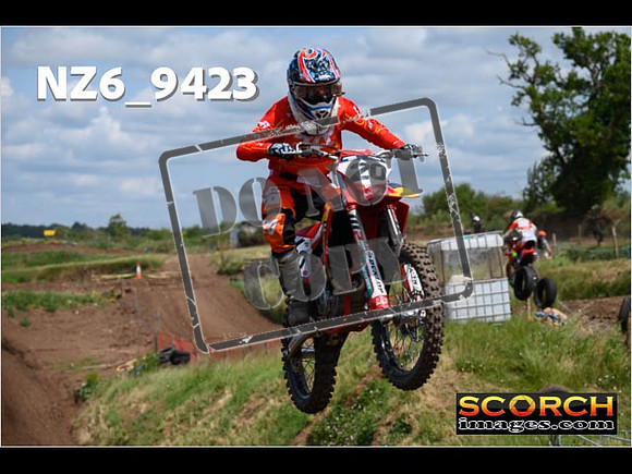 Experts-194