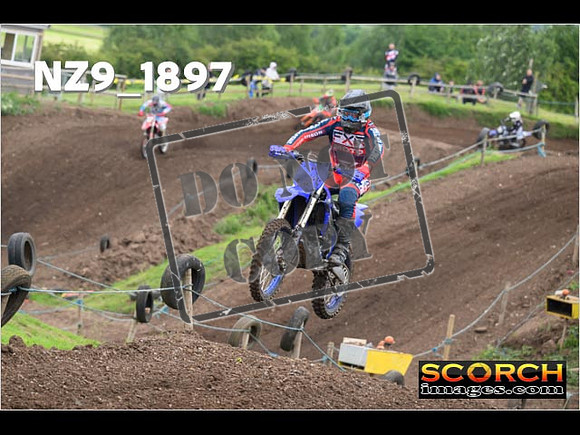Experts-117