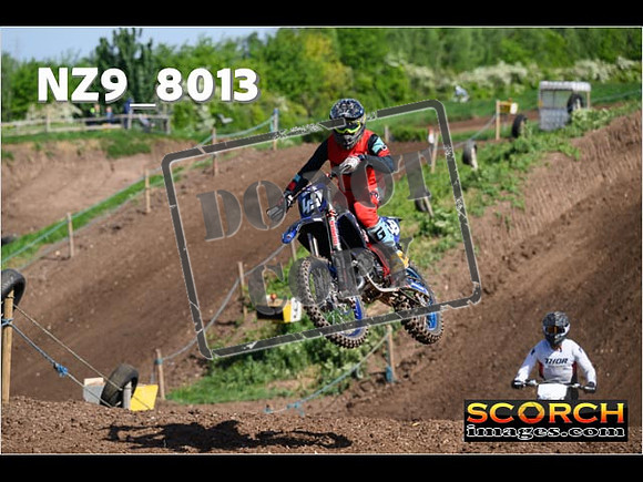 InterGreen-069