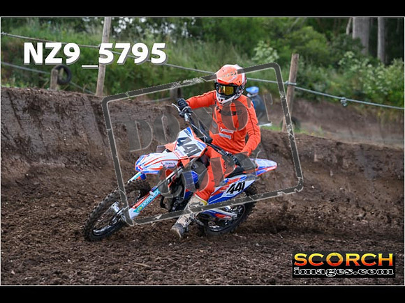 Experts-051
