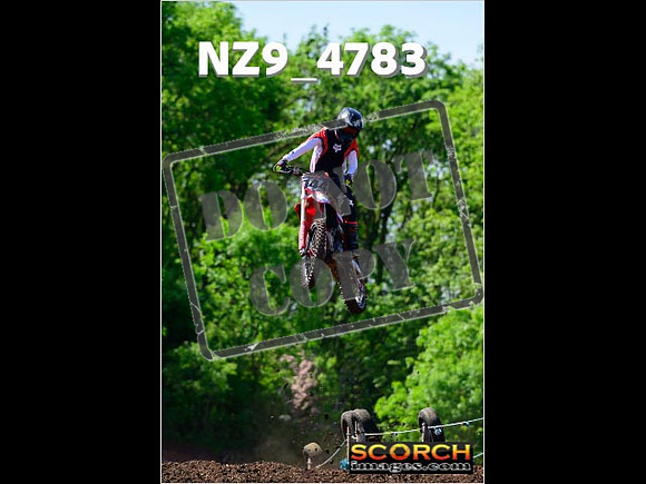 Experts-122