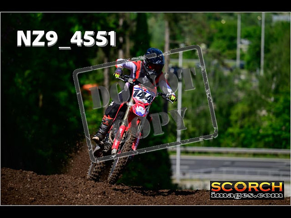 Experts-058