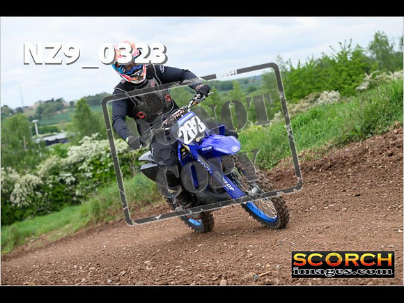 IntersGreen-268
