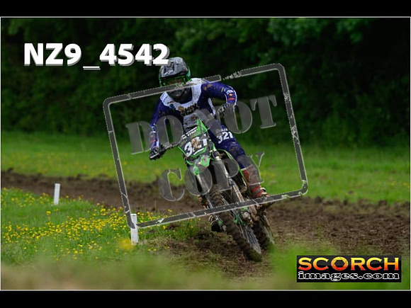 Experts-259
