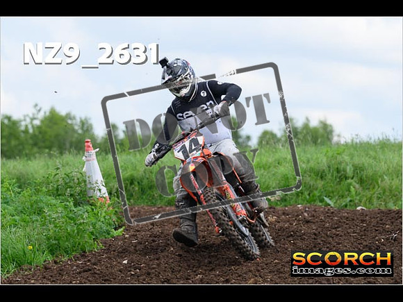 Experts-079