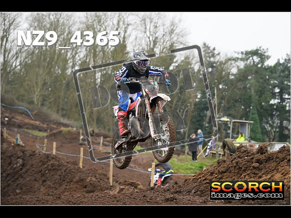 Experts-211
