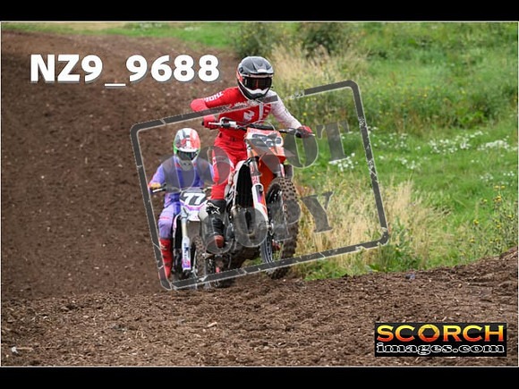 Experts-085