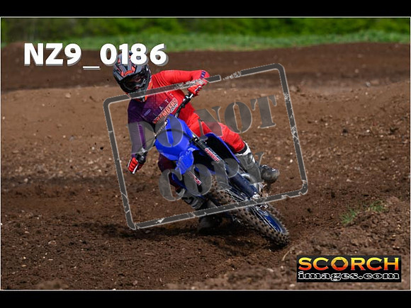 Experts-124