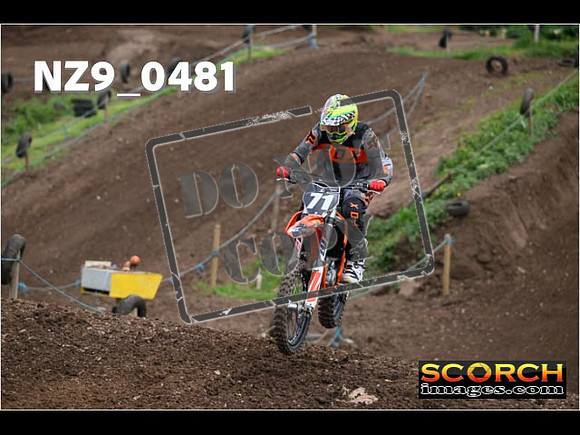 Orange Group-094