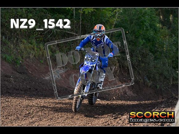 Experts-227