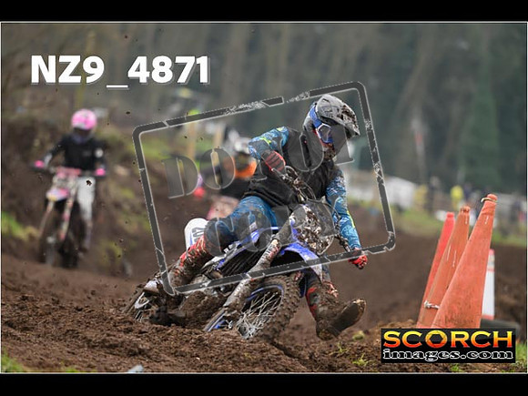 Experts-346