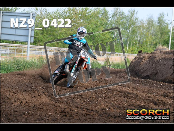 Experts-019