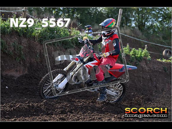 Experts-094