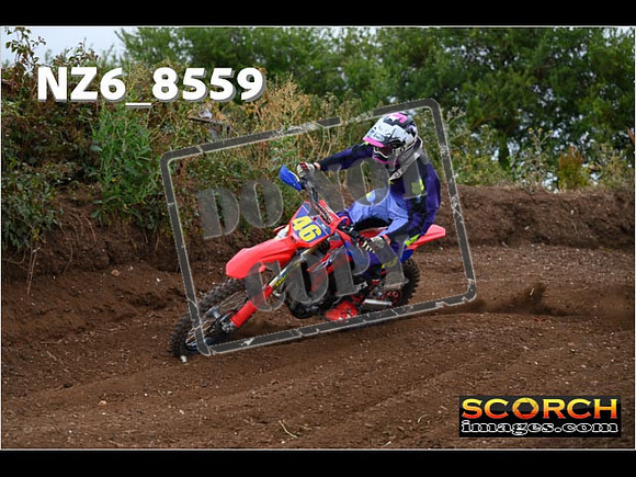 Experts-079