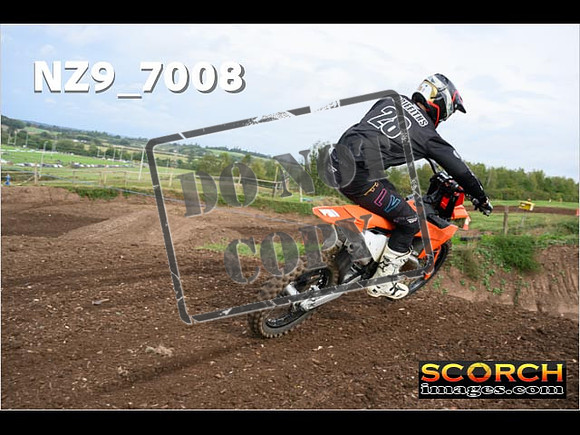 Experts-081