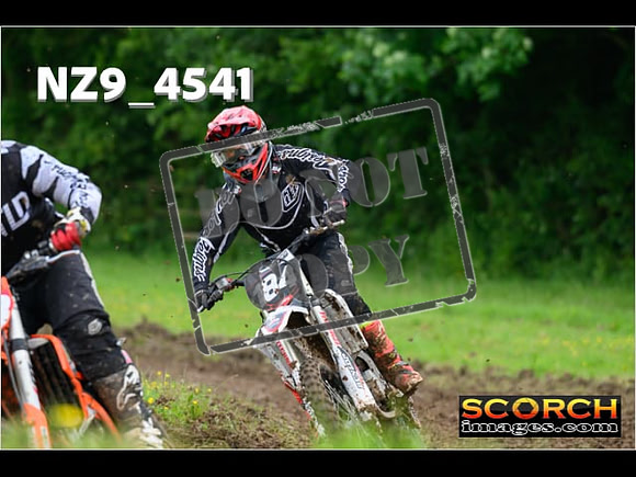 Experts-258