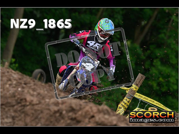 Experts-085