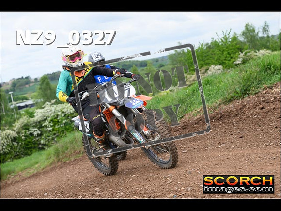 IntersGreen-271