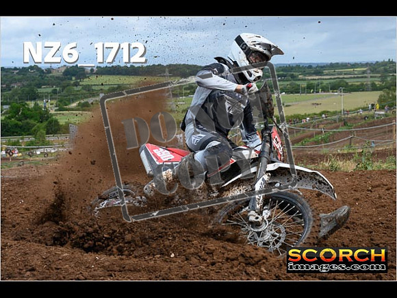 Experts-028