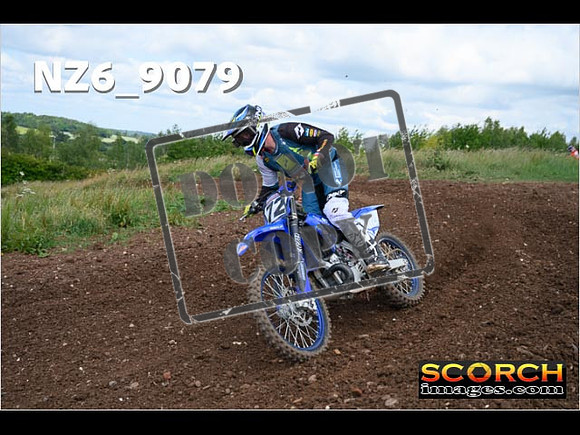Experts-144