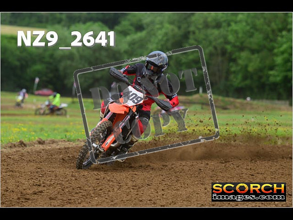 Novice-231