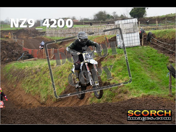 IntersGreen-098