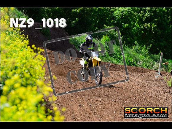 IntersGreen-081