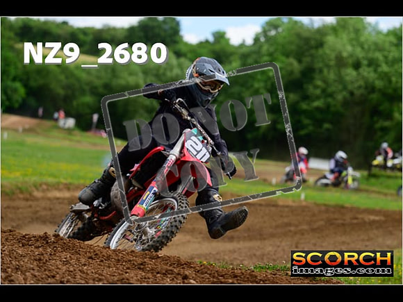 Novice-269