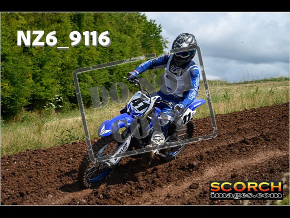 Experts-179