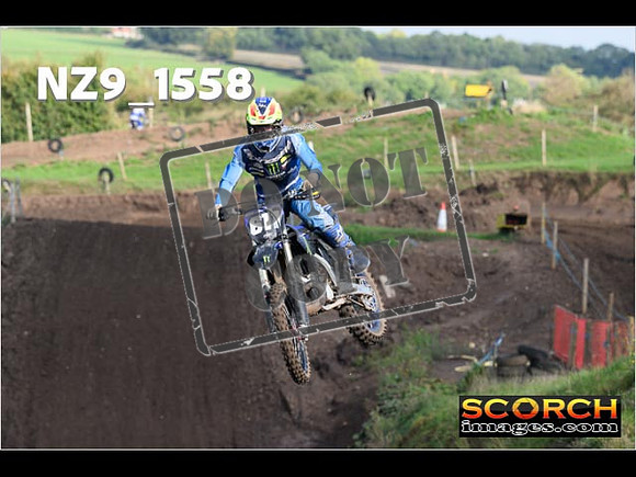 Experts-241
