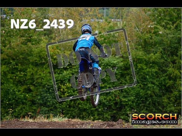 Experts-022