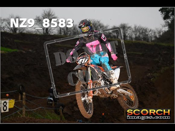 Experts-029