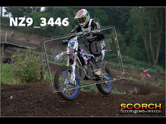 Experts-103