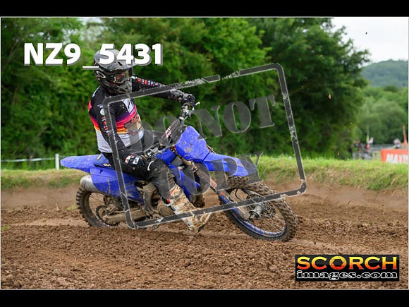 Experts-362