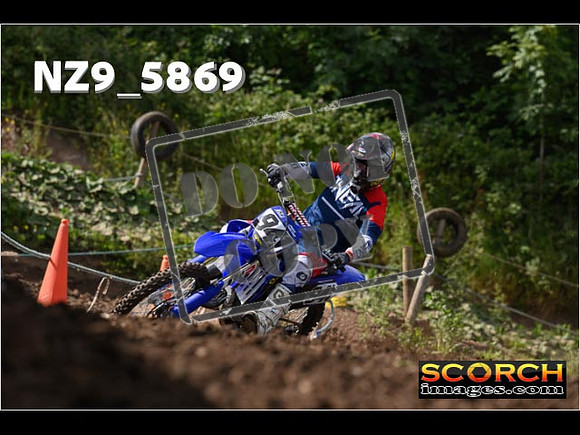 Experts-118