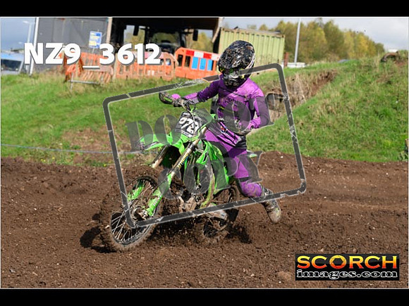 Inters-393