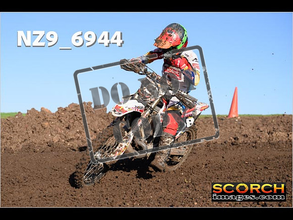 Experts-144