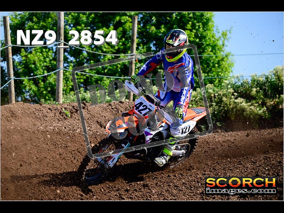 Experts-029