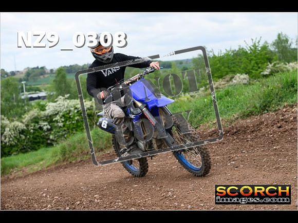 IntersGreen-254